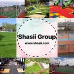 Shasii Group - photo 4