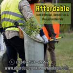 Affordable Junk Removal, Demolition and Dumpster Rentals Canton - photo 4
