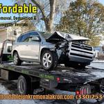 Affordable Junk Removal, Demolition and Dumpster Rentals Canton - photo 8