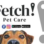 Fetch! Pet Care West Orlando - photo 1
