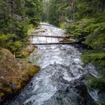 Watershed Renton - photo 1