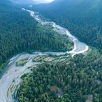 Watershed Renton - photo 5