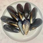 Coffs Harbour Fishermen’s Co-operative - photo 3