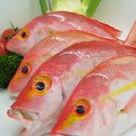 Coffs Harbour Fishermen’s Co-operative - photo 6