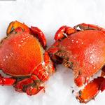 Coffs Harbour Fishermen’s Co-operative - photo 8