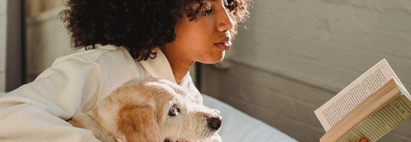 Ariza Scott BLVD cover photo