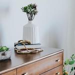 Ariza Scott BLVD - photo 4