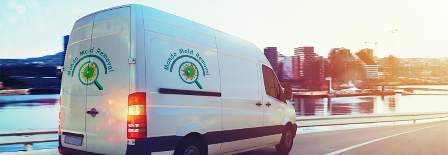 Wilmington, NC - Mondo Mold Removal cover photo