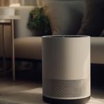 Wilmington, NC - Mondo Mold Removal - photo 1