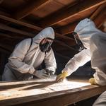 Wilmington, NC - Mondo Mold Removal - photo 2