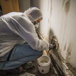 Wilmington, NC - Mondo Mold Removal - photo 4