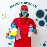 Wilmington, NC - Mondo Mold Removal - photo 5