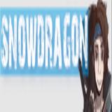 snowdragon.tv - Professional Services in Schwaigern