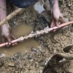 Pierpoint Plumbing - photo 5