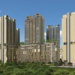 Rohan Ekam - photo 5