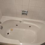 BlueJay Cleaning - photo 1