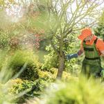 Johnny Appleseed Tree Service - photo 1