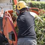 Johnny Appleseed Tree Service - photo 4