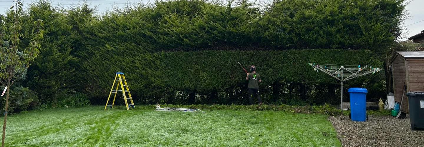 Mcauley Tree Surgery cover photo