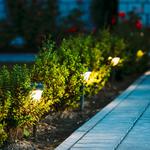 Premier Turf And Landscaping Inc - photo 6
