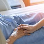 CareXpert homenursing services in UAE - photo 8