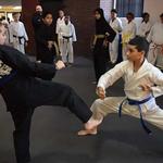 Martial Arts America - photo 3