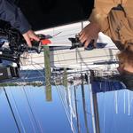 MA Video Production Collective - photo 8