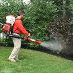 Mosquito Shield of Central Charlotte - photo 1