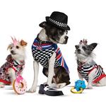 Fabulous Mr Frog - photo 5