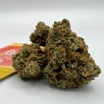 The Reef - Seaside - photo 6