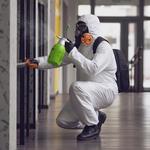 True Mold Specialist - photo 1