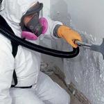 True Mold Specialist - photo 4