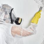 True Mold Specialist - photo 5