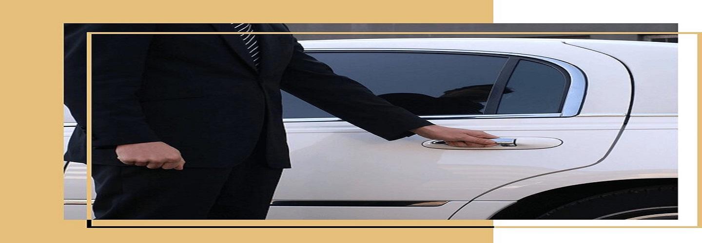 TECS Limo Service LLC cover photo