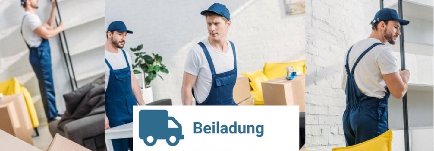 Beiladung in Mannheim cover photo