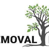Tree Removal Expert - Tree Services in Sydney