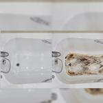 BlueJay Cleaning - photo 10