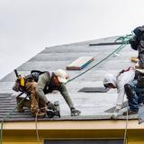 RainTree Roofing Calgary - Roofing in Calgary