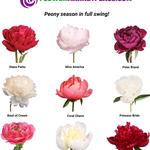 Flower Marketplace - photo 1