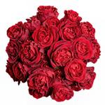 Flower Marketplace - photo 3