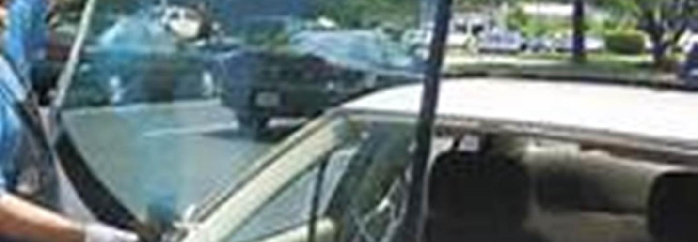 Bug Free Auto Glass cover photo