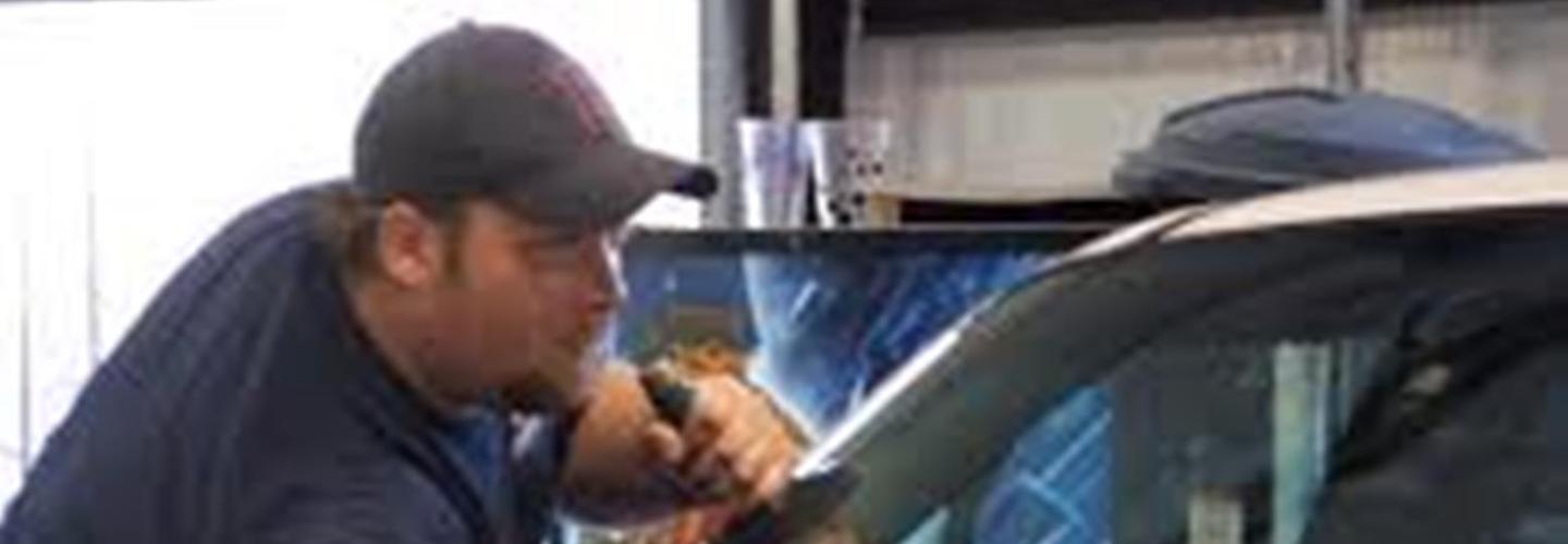 Bug Free Auto Glass cover photo