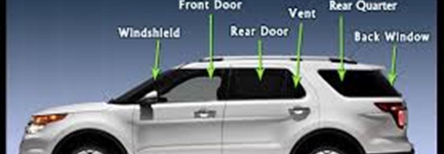 Bug Free Auto Glass cover photo