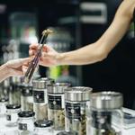 Medical Marijuana Doctor | Compassionate Care Consultants, Scranton, PA - photo 1