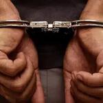 Gregory Casale Attorney At Law - photo 2