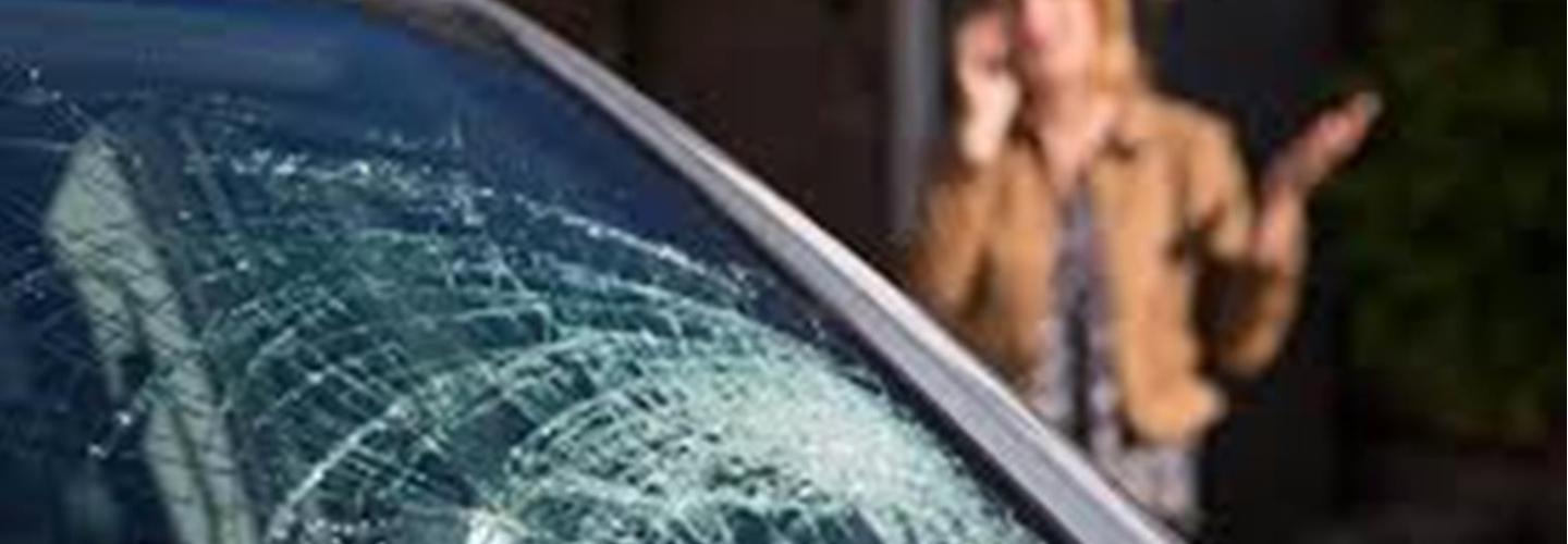 Bug Free Auto Glass cover photo