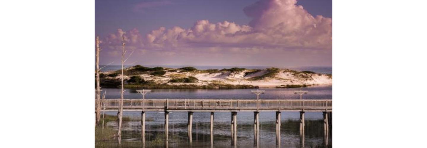 Howard B Dolgoff cover photo