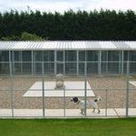 POND VIEW BOARDING KENNELS - photo 2