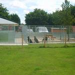 POND VIEW BOARDING KENNELS - photo 3