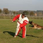 Dog Dynamics Dog Training - Pleasanton - photo 1